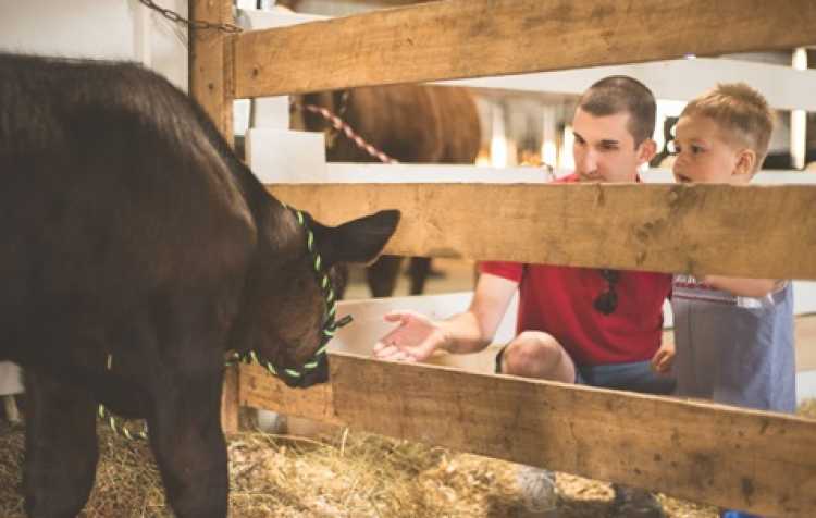 Photo 1 of 111th Annual Washington County Free Fair (see details for schedule).