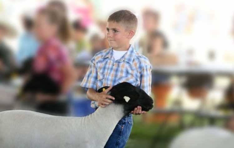 Photo 2 of 111th Annual Washington County Free Fair (see details for schedule).