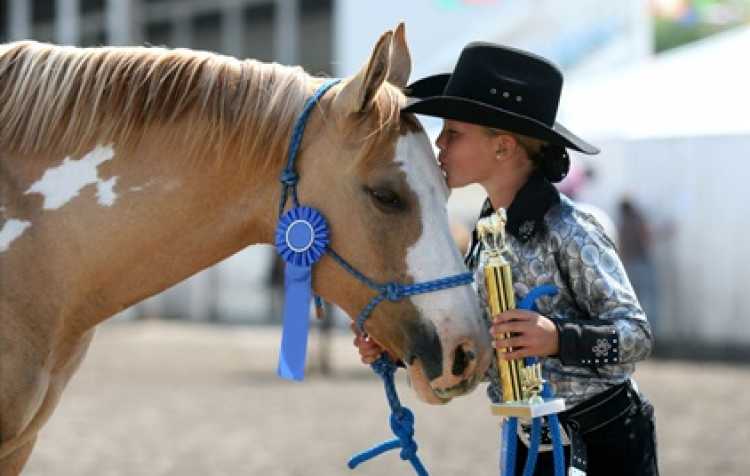 Photo 3 of 111th Annual Washington County Free Fair (see details for schedule).