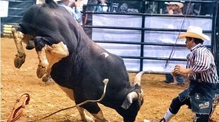 Photo of 41st Annual Green Country Rodeo.