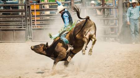 Photo of 42nd Annual Green Country Rodeo.