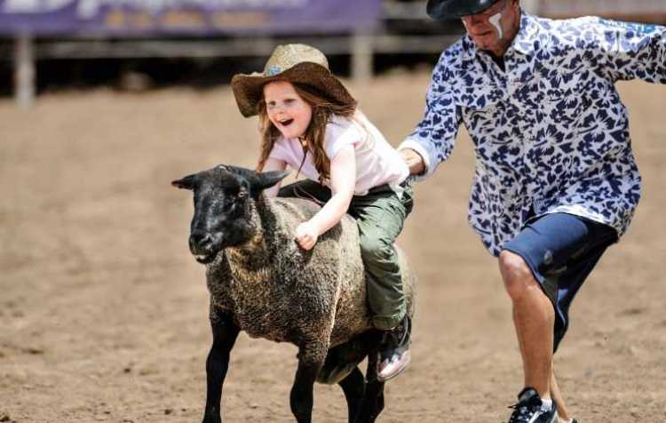 Photo 1 of 45th Annual Green Country Rodeo.