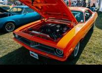Image representing the 7th Annual Memories Matter Car Show event