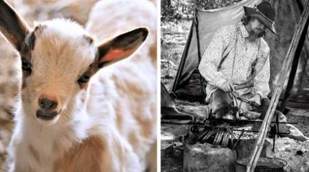 Photo of Animal Barn & Living History Camp Opening.