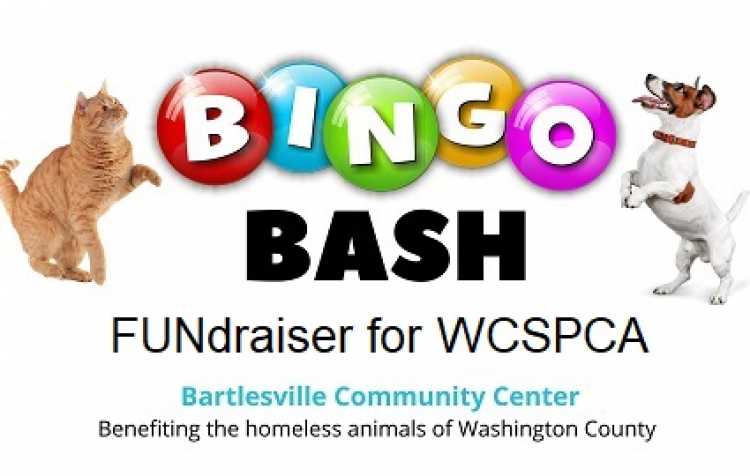 Bingo Bash