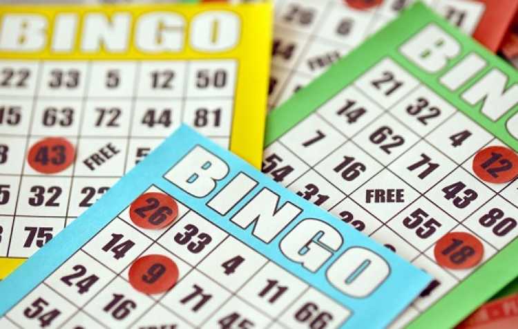 Photo 2 of BINGO BASH benefiting WCSPCA.