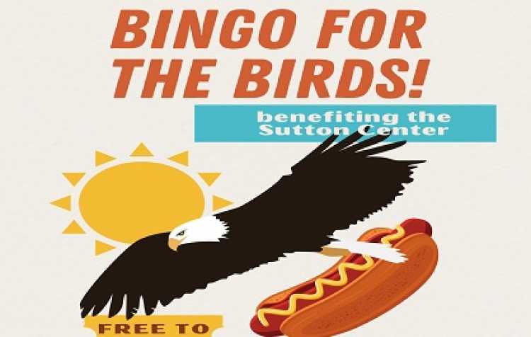 Photo 1 of BINGO for the Birds.