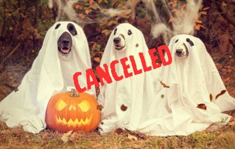 Photo 1 of Bark-lesville Haunted Howl-O-Ween party for Dogs **CANCELLED**.