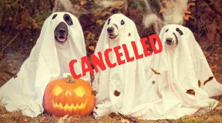 Photo of Bark-lesville Haunted Howl-O-Ween party for Dogs **CANCELLED**.