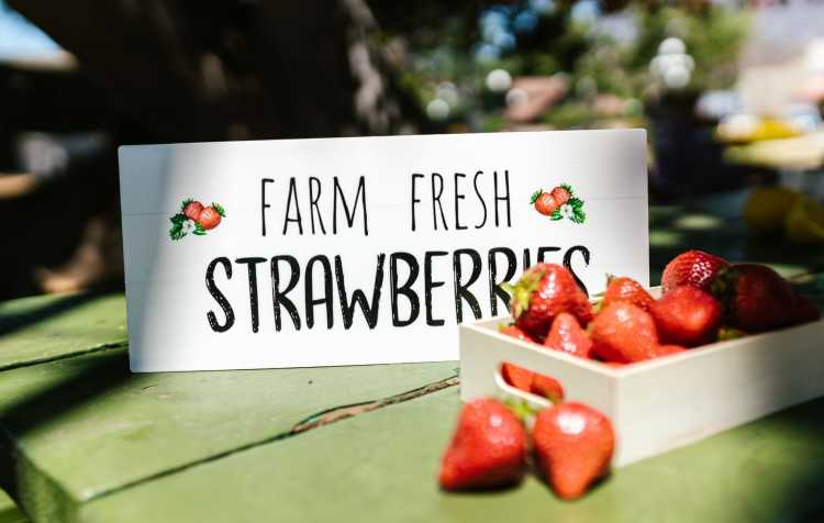 Photo 1 of Bartlesville Farmers Market Saturday's (May-Oct).