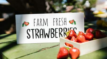 Photo of Bartlesville Farmers Market Saturday's (May-Oct).