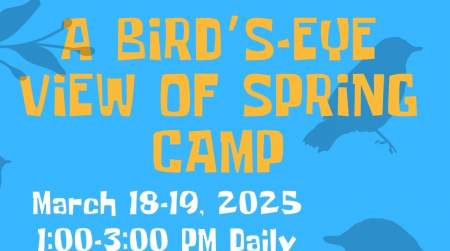 Photo of Birds-Eye View of Spring Day Camp.