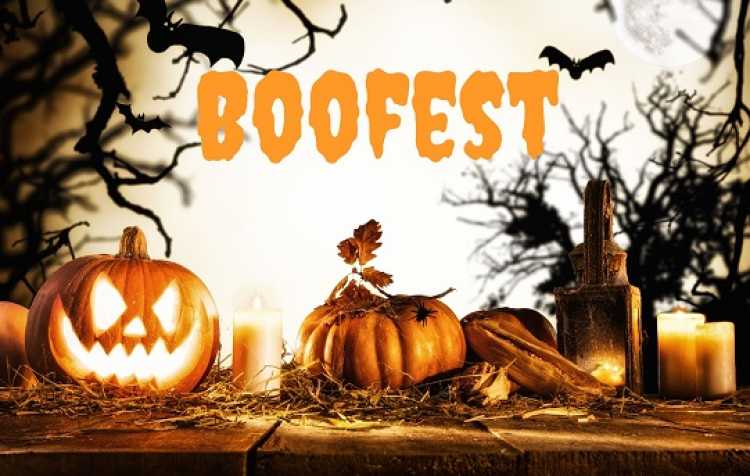 Photo 1 of Boofest hosted by Sunfest.