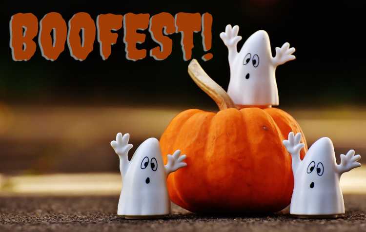 Photo 1 of Boofest hosted by Sunfest (click for info.).