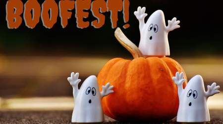 Photo of Boofest hosted by Sunfest (click for info.).