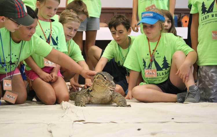 Photo 1 of Camp Woolaroc ages 9-11.