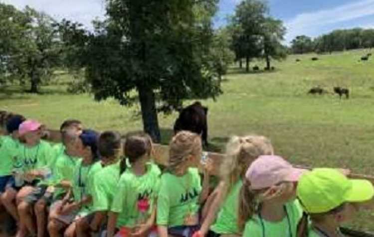 Photo 1 of Camp Woolaroc ages 9-11.