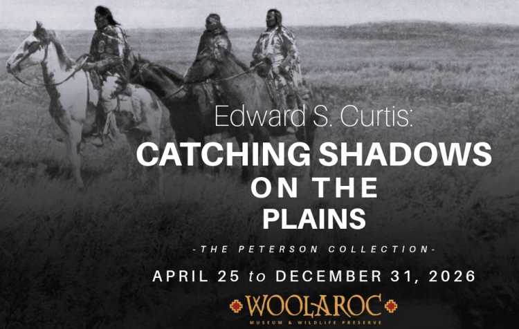 Photo 1 of Catching Shadows on the Plains.