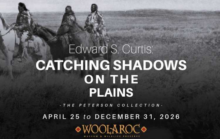 Photo 1 of Catching Shadows on the Plains.