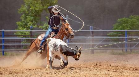 Photo of Copan Rodeo ACRA.