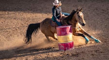 Photo of Copan Rodeo ARCA.