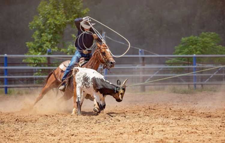 Photo 2 of Copan Rodeo ARCA.
