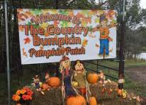 Image representing the Country Bumpkin Pumpkin Patch & More (click here for days & hours) event