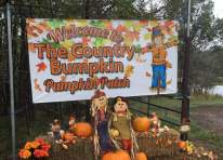Image representing the Country Bumpkin Pumpkin Patch & More (click here for days & hours) event