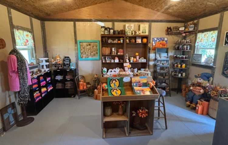 Photo 2 of Country Bumpkin Pumpkin Patch & More (click here for days & hours).