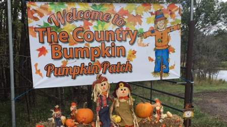 Photo of Country Bumpkin Pumpkin Patch.