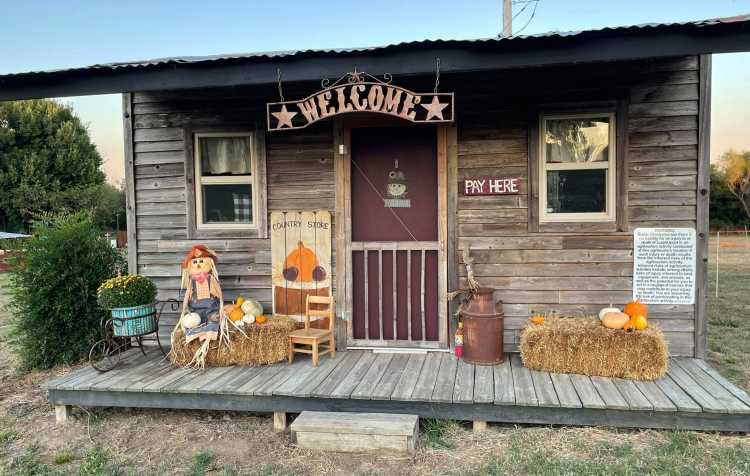 Photo 2 of Country Bumpkin Pumpkin Patch (see details for times).