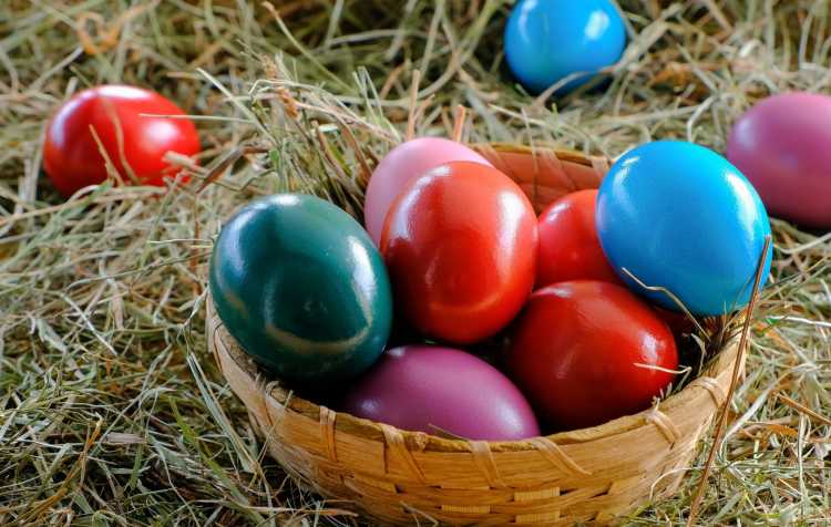 Photo 1 of Easter Egg Hunt at East Cross United Methodist Church.