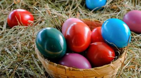 Photo of Easter Egg Hunt at East Cross United Methodist Church.