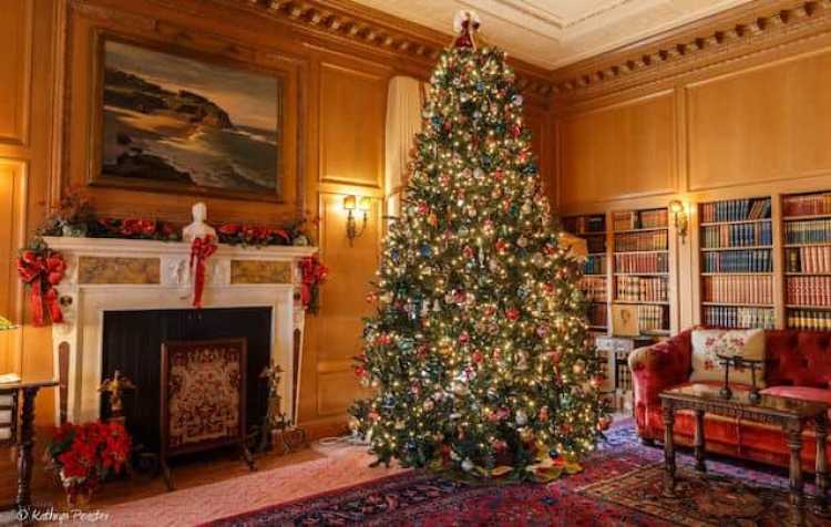 Photo 1 of Frank Phillips Home Christmas Open House.