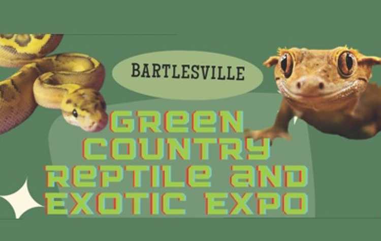 Photo 1 of Green Country Reptile & Exotic Expo.