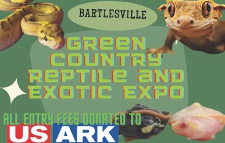 Photo 1 of Green Country Reptile & Exotic Expo.