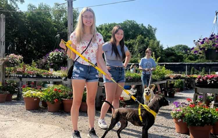 Photo 2 of Green Thumb Nursery & WCSPCA join together for a great event.