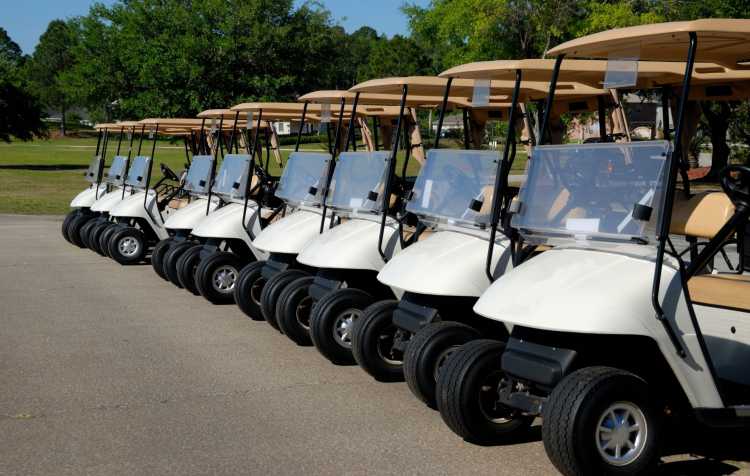 Photo 2 of Jo Allyn Lowe Golf Fundraiser.