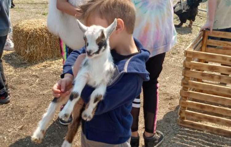 Photo 1 of Kiddie Farm by OK EAT, Spring Farming Fun for Families.