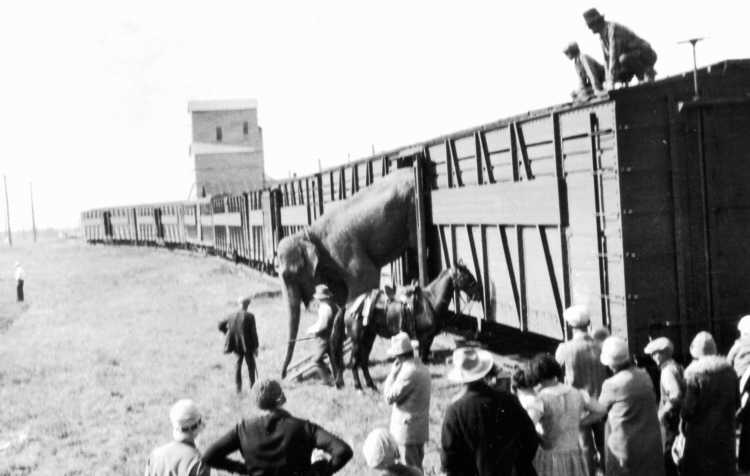 Photo 1 of May Lunch & Learn – “101 Ranch”.