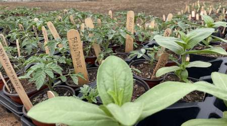 Photo of OK EAT-UPS 2023 Meetups.