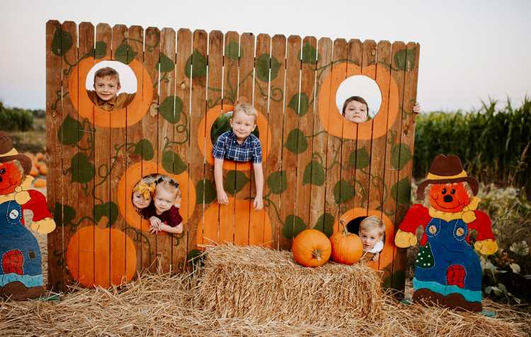 Photo 1 of Oklahoma Heritage Farm Annual Fall Festival (see full details for times).