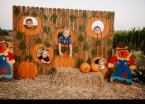 Image representing the Oklahoma Heritage Farm Annual Fall Festival (see full details for times) event