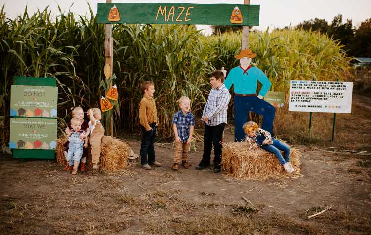 Photo 2 of Oklahoma Heritage Farm Annual Fall Festival (see full details for times).