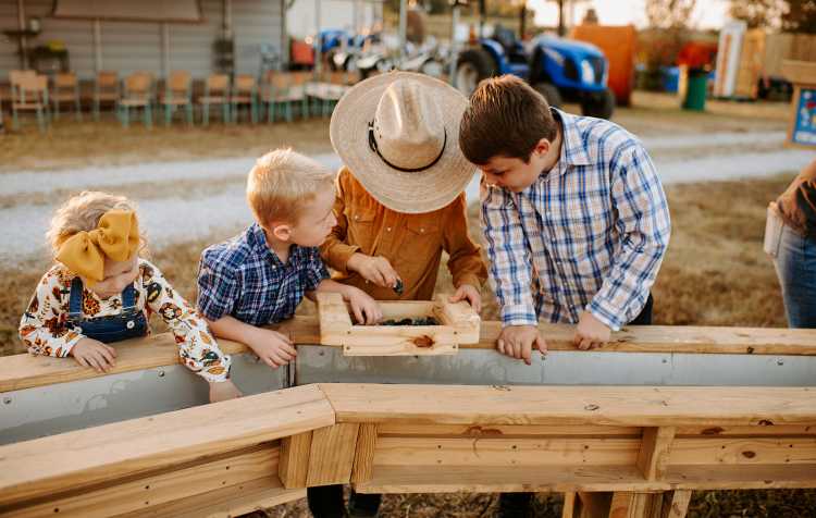 Photo 3 of Oklahoma Heritage Farm Annual Fall Festival (see full details for times).