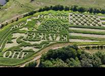 Image representing the Oklahoma Heritage Farm Festival & Pumpkin Patch (click here for days & hours) event