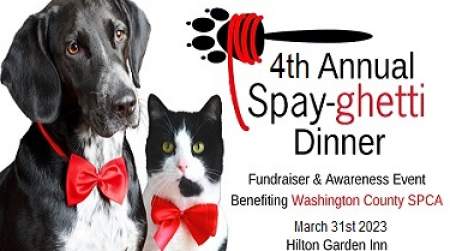 Photo of Spay-ghetti Fundraiser for Washington County SPCA.