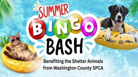 Photo of Summer BINGO BASH benefiting the WCSPCA.