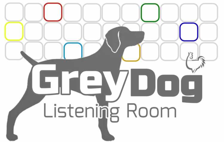 Photo 1 of Tom Pevear plays live at The Grey Dog.