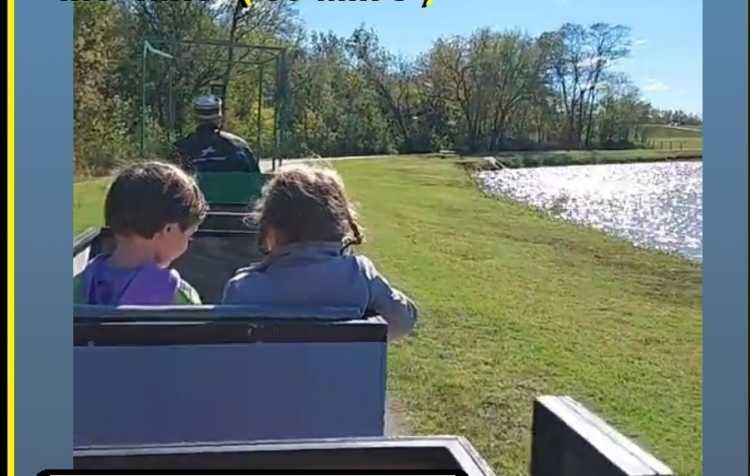 Photo 2 of Trackless Train & Christmas Train Rides.